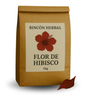 FLOR DE HIBISCO